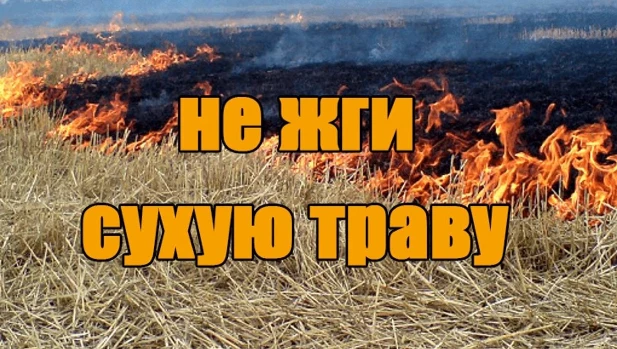 Весенний пал травы: опасность и ответственность